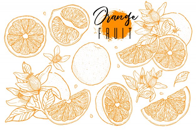 Orange Illustration Images Free Vectors Stock Photos Psd
