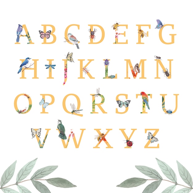 Free vector insect and bird alphabet with butterfly, beetle, bird watercolor illustration.