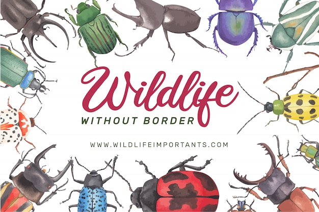 Free vector insect and bird frame with various beetles watercolor illustration.