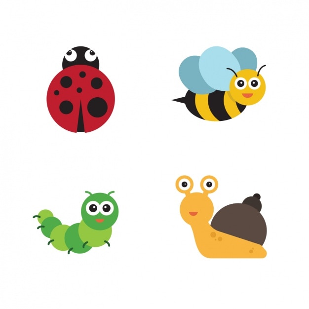 Free vector insect collection