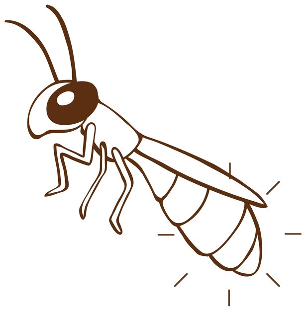 Insect in doodle simple style on white background