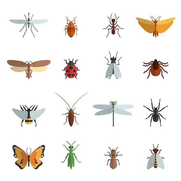 Free vector insect icon flat