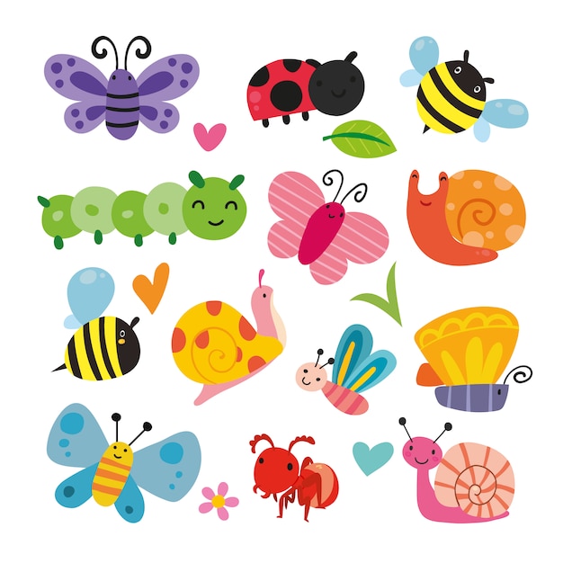 Free vector insect illustration collecti