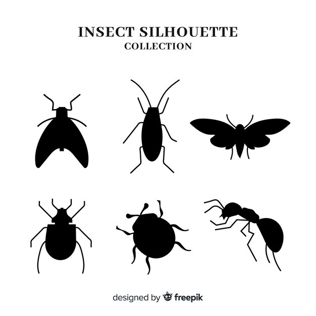 Insect silhouette collection