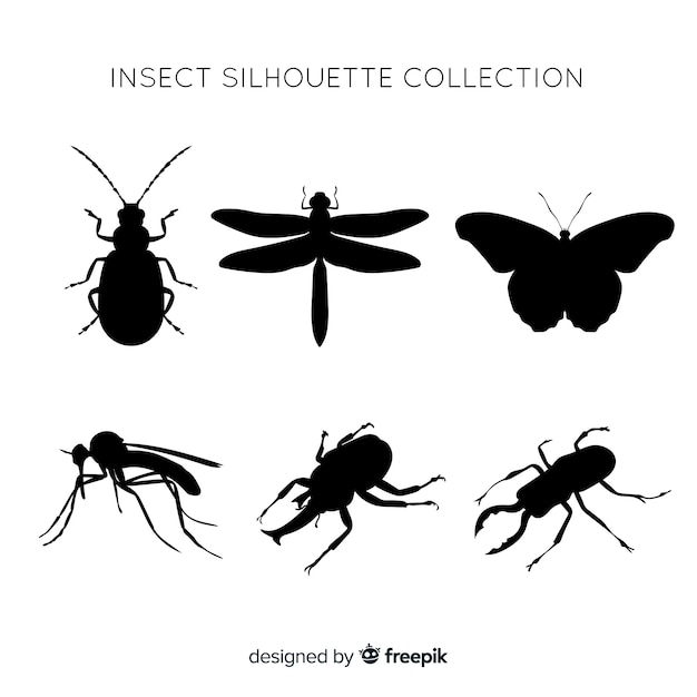 Insect silhouette collection