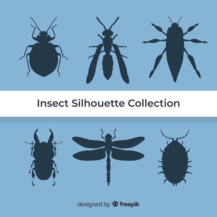 Free Vector insect silhouette collection
