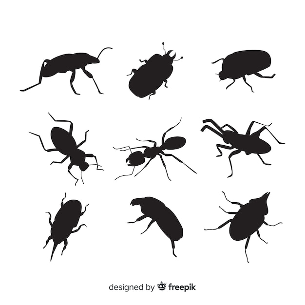 Insect silhouette collection