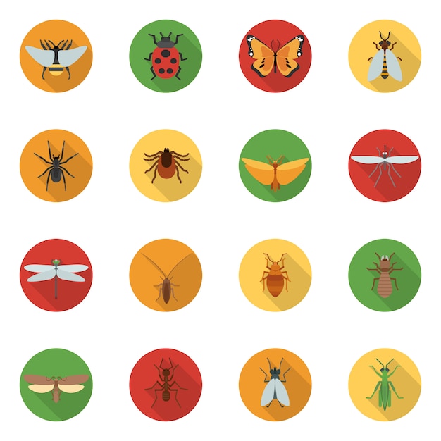 Free vector insects icons flat