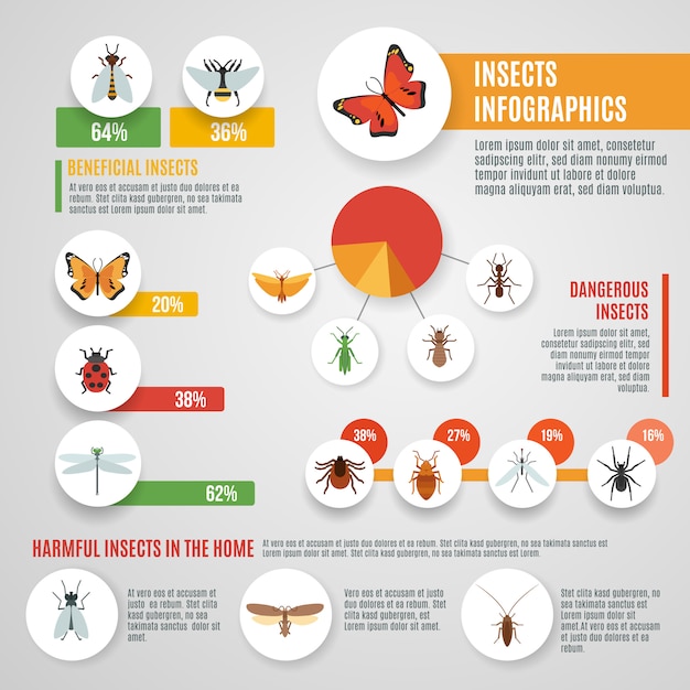 Vettore gratuito insetti infographic set