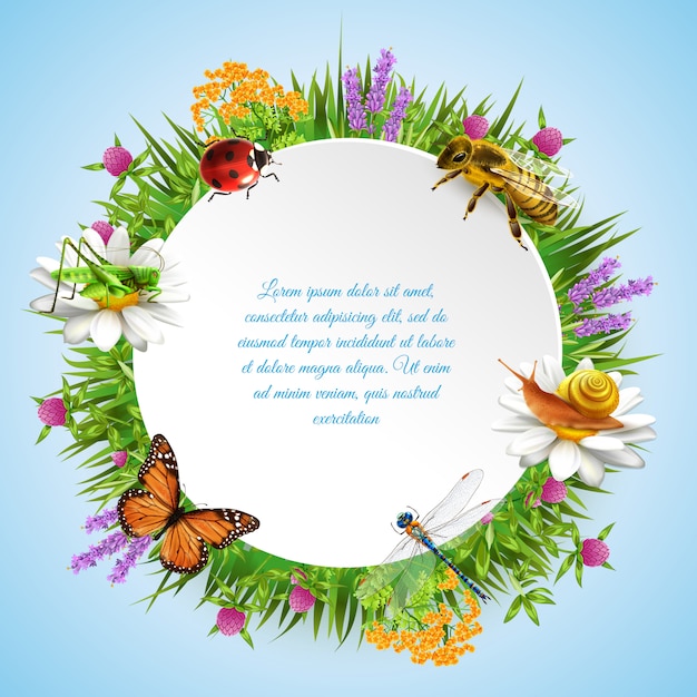 Free vector insects round frame