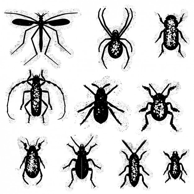 Free Vector insects silhouettes collection