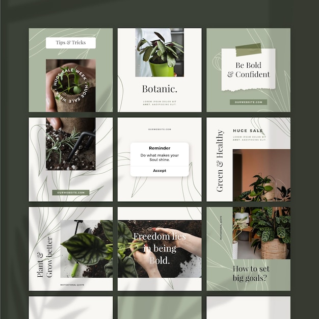 Лента ботанических пазлов Instagram