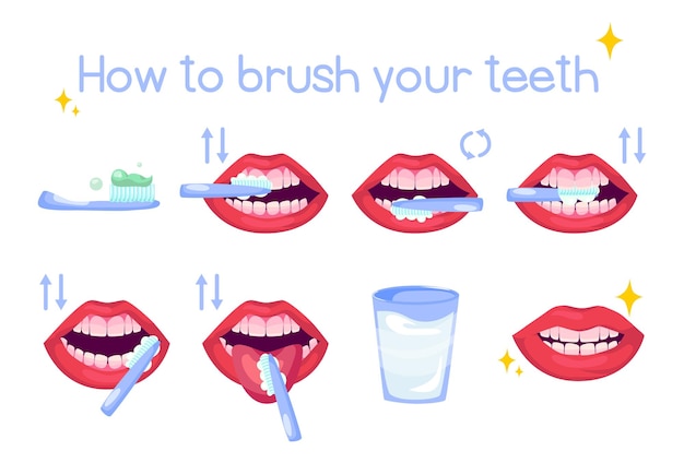 歯磨き漫画イラストセットの指導。歯ブラシとコップ一杯の水に歯磨き粉を使った適切な口腔洗浄の段階的なスキームのポスター。ヘルスケア、医学の概念