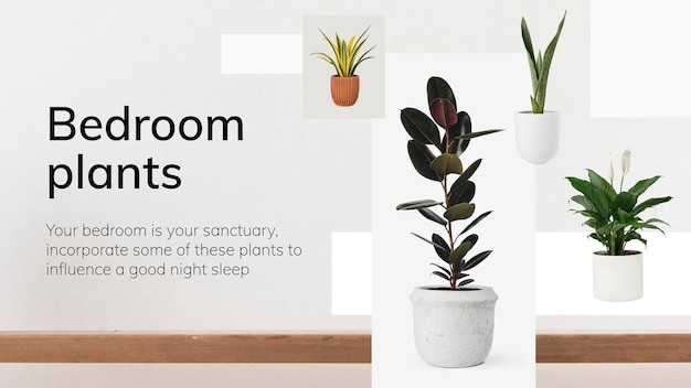 Free vector interior decor template vector bedroom plants
