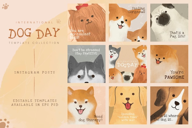 Бесплатное векторное изображение Набор постов в социальных сетях для международного дня собаки
