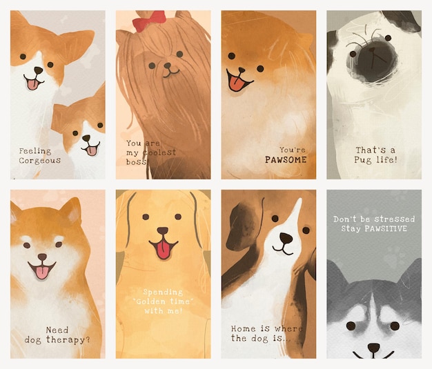 Free Vector international dog day template  social media story set