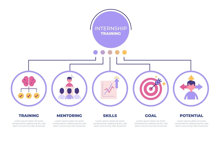 Free Vector internship training infographic