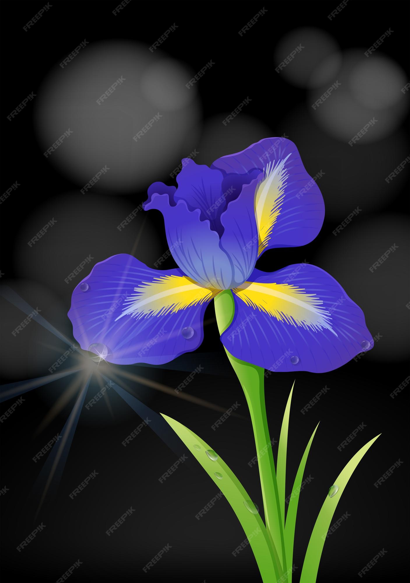 Blue Iris Flower Images   Free Vectors, Stock Photos & PSD
