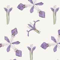 Free vector iris flower pattern