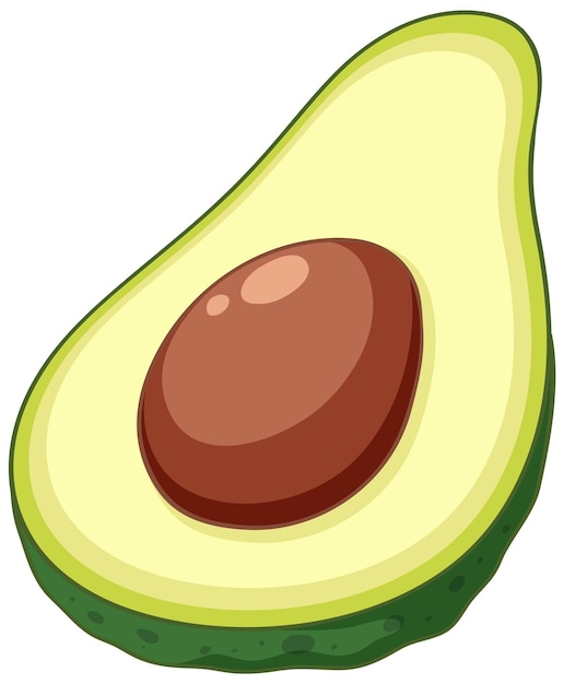 Free vector isolated avocado cartoon cut in half