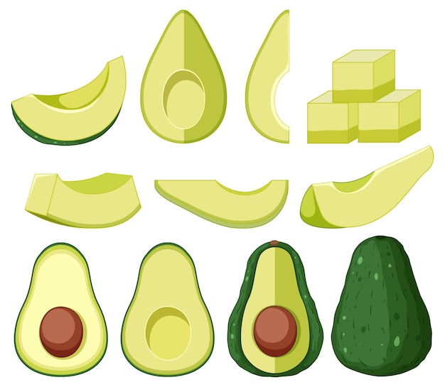 Free vector isolated avocado fruit cartoon