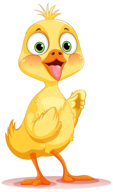 Free vector isolated baby chicken cartoon