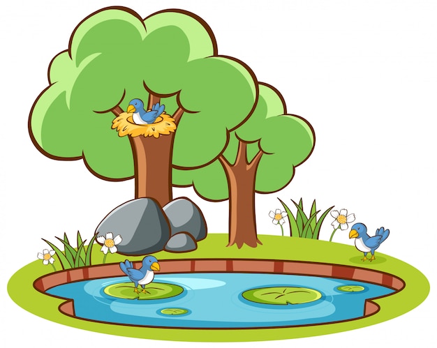 Бесплатное векторное изображение Изолированные птицы и пруд