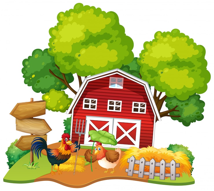 Free Vector isolated chicken house on white background
