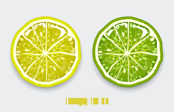 무료 Vector 구연산 디자인