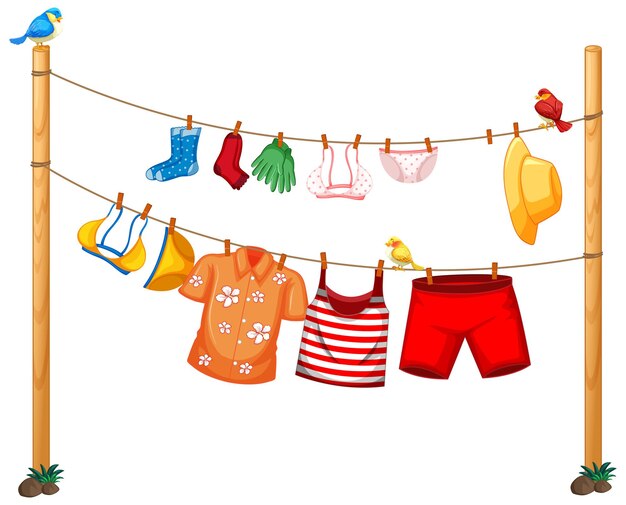 isolated clothes hanging on clothesline on white background