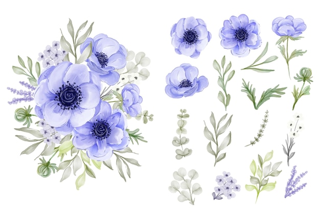 Isolated elegant purple anemone flower leaves collection