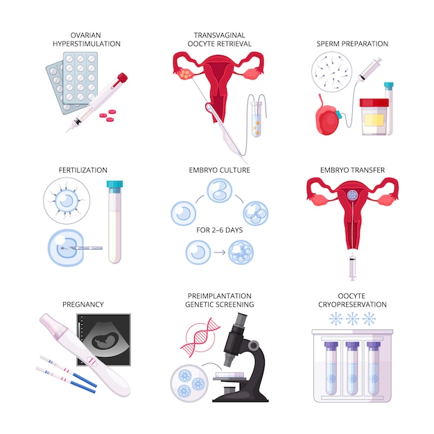 Isolated flat in vitro fertilization IVF icon set with fertilization pregnancy embryo culture transfer and other descriptions