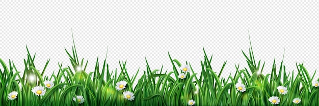 Free vector isolated green grass lawn border illustration