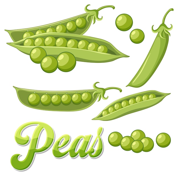 Free vector isolated green peas cartoon