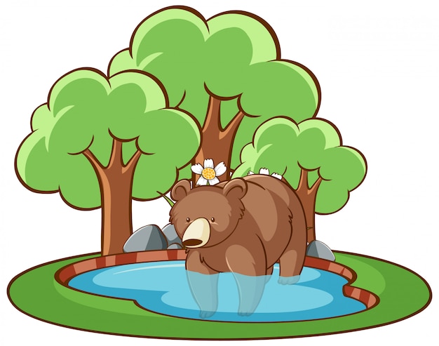 Free vector isolated grizzly bear in the pond