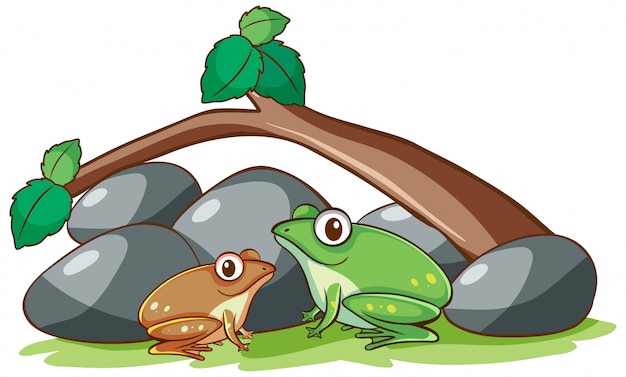 Isolated hand drawn of two frogs under the branch