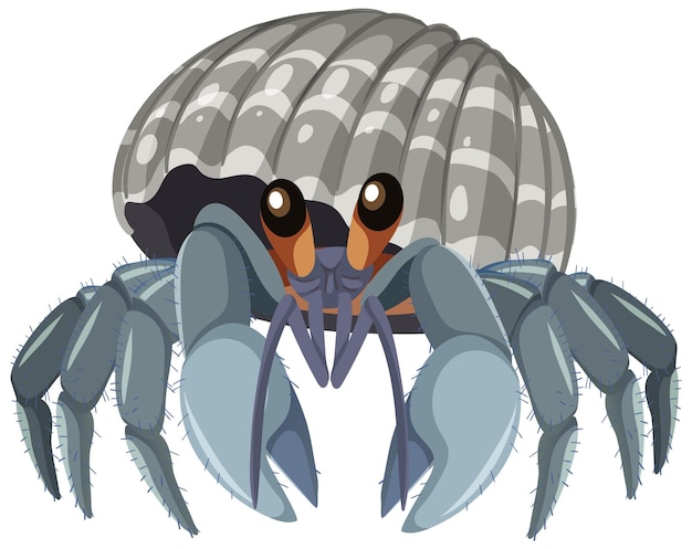 Free vector isolated hermit crab cartoon