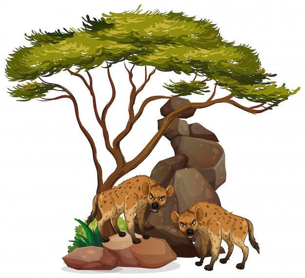 Free vector isolated hyena under the tree
