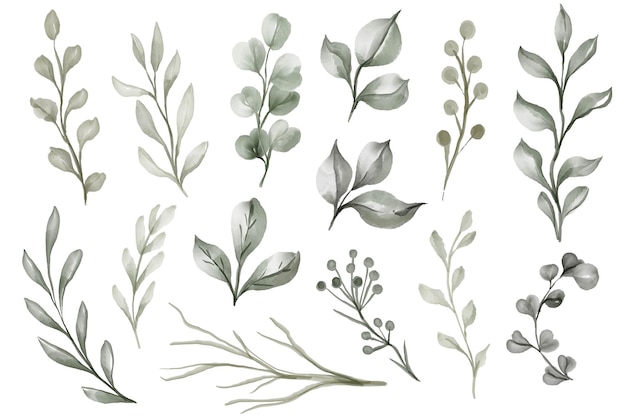 Free vector isolated leaves green watercolor illustration clipart