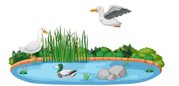 Free vector isolated nature pond with duck and birds