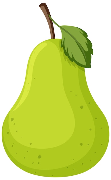 Free vector isolated pear fruit on white background