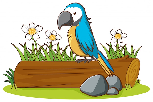 Free vector isolated picture of blue parrot