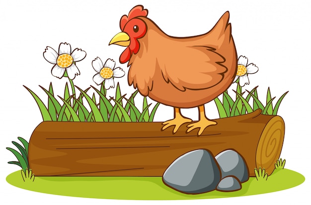 Free vector isolated picture of chicken on log