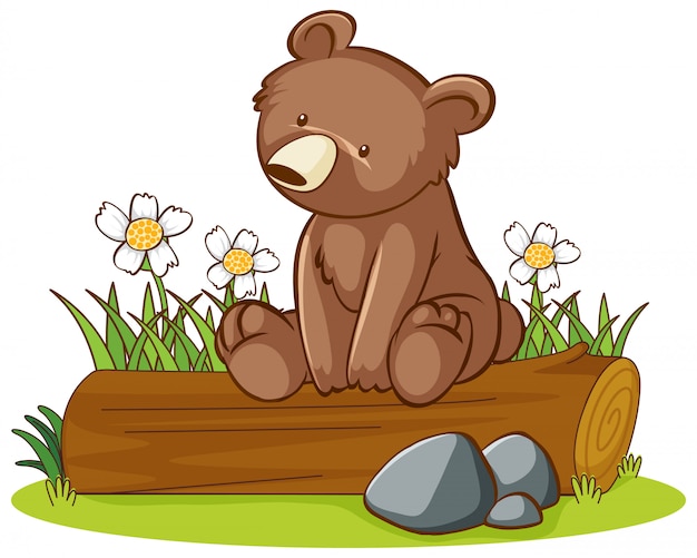 Free vector isolated picture of cute bear