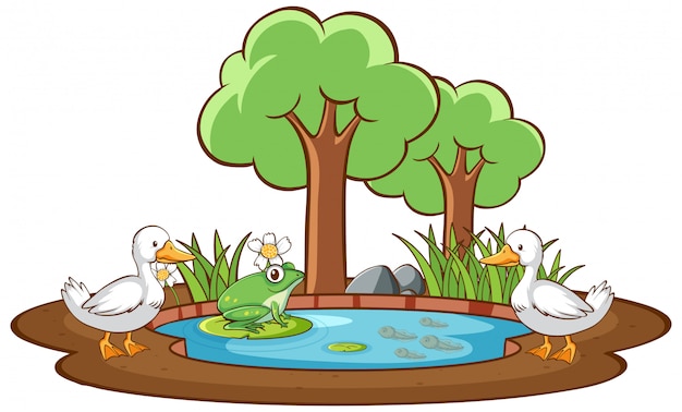 Isolated picture of duck and frog in the pond