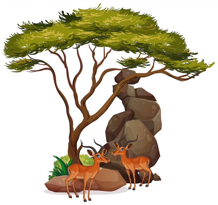 Free Vector isolated picture of gazelles under tree