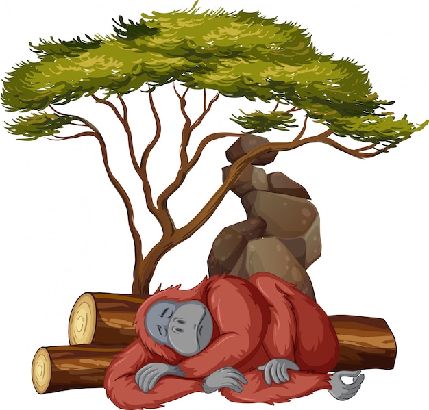 Free vector isolated picture of gorilla sleeping