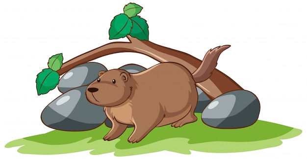 Free vector isolated picture of groundhog in garden