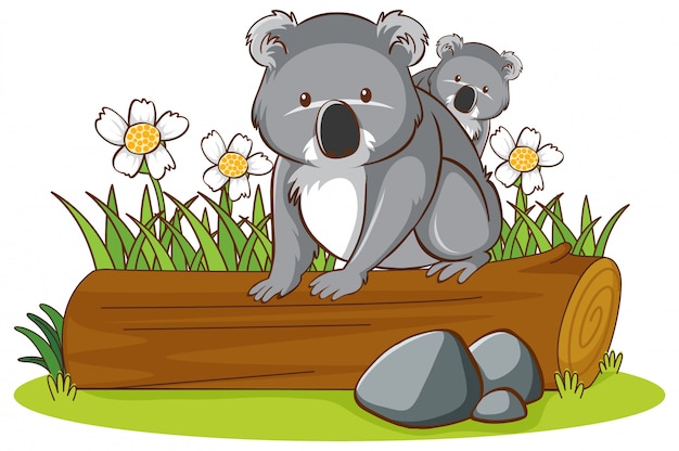 Free vector isolated picture of koala on log