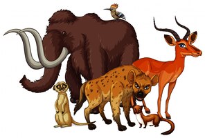 Isolated picture of many animals
